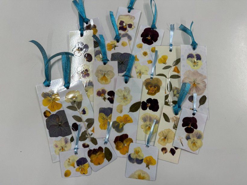 水色のリボンをつけた押し花のしおり